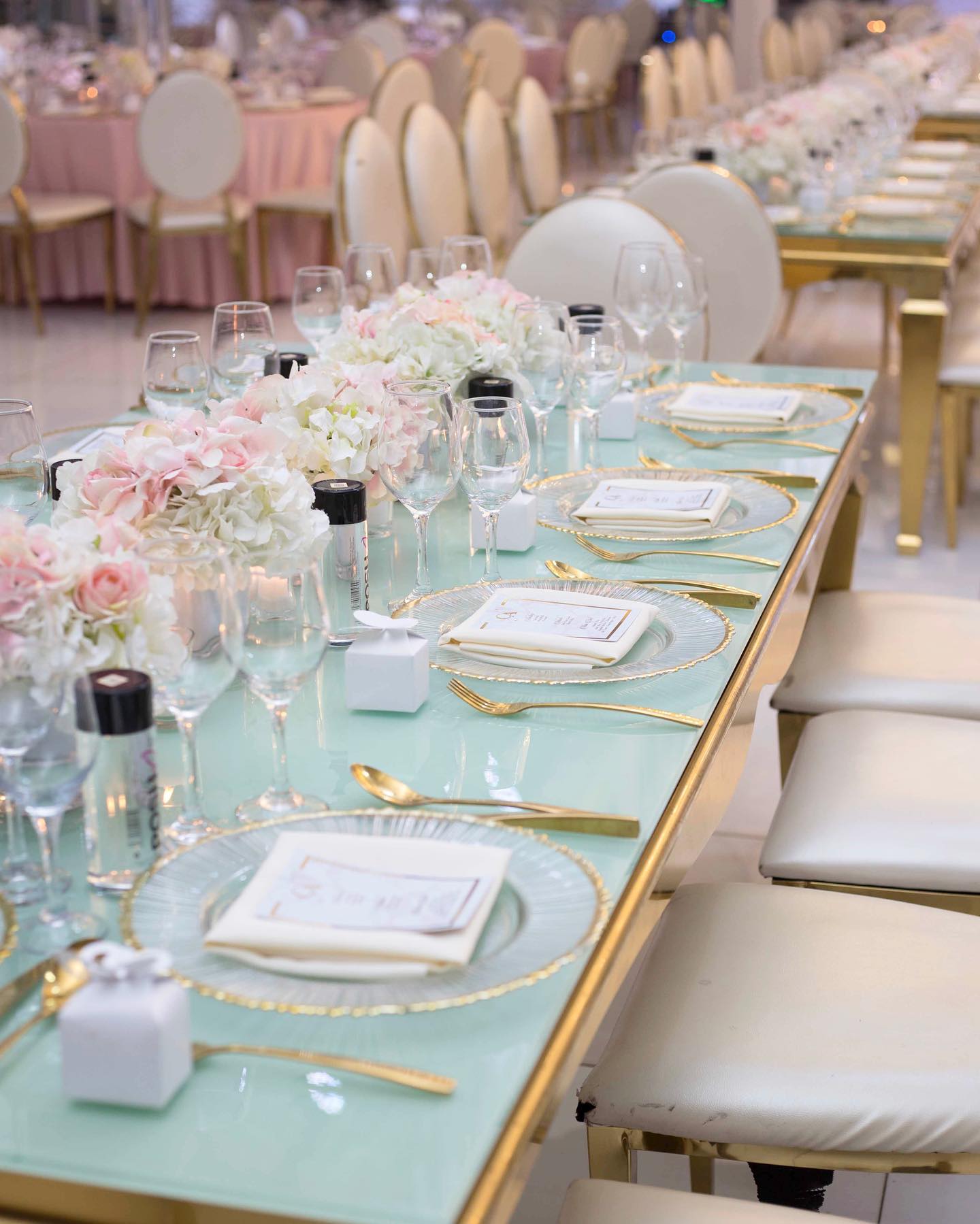 Brand launch by ACE Event Planners