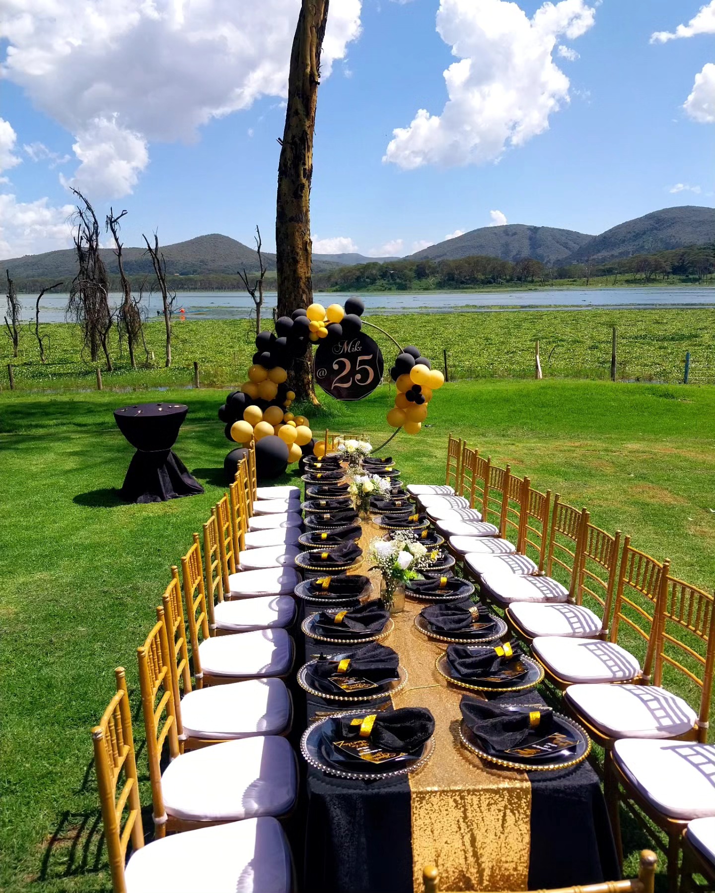Selected ACE Event Planners project
